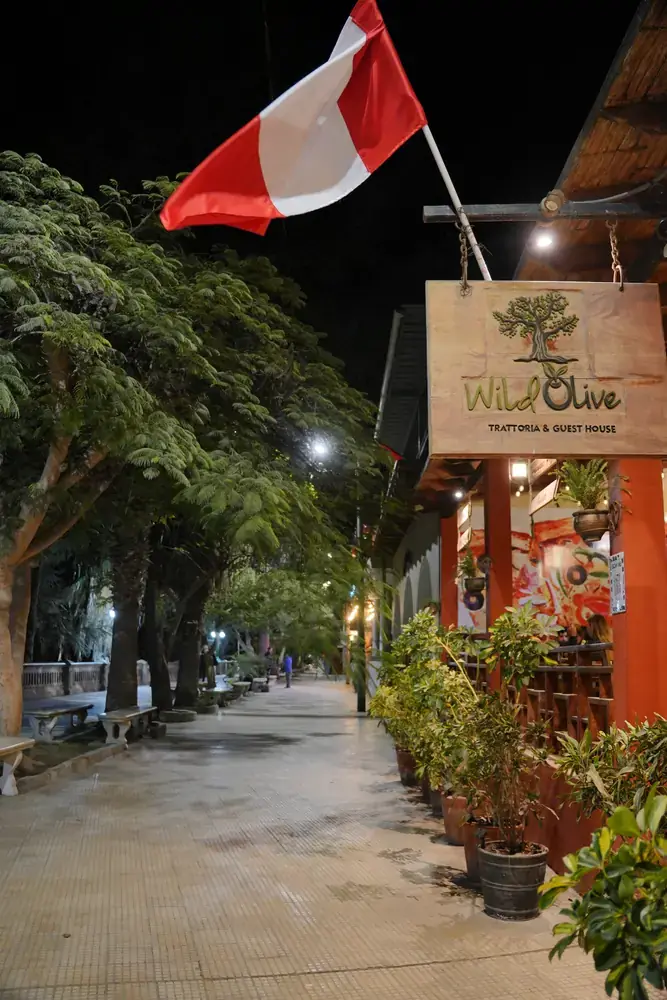 Terraza de Wild Olive de noche